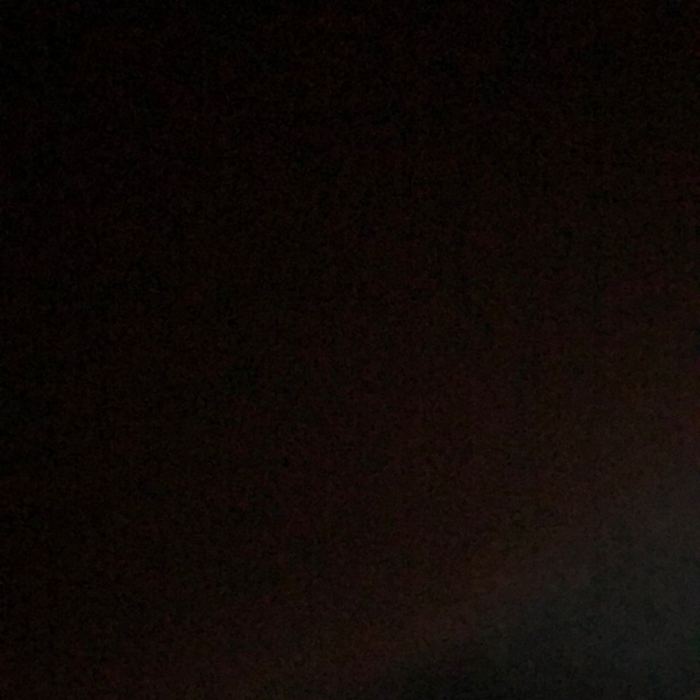 Meet your Posher, Paige